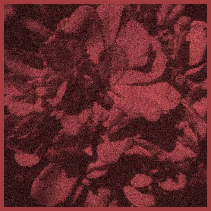 Inhumane Intentions cover