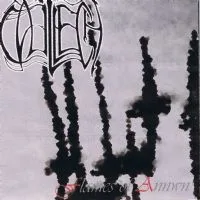 Flames of Annwn cover