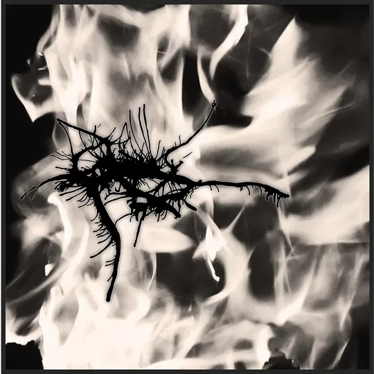 Age of Pestilence cover