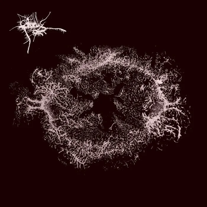 Nothing Should Exist cover