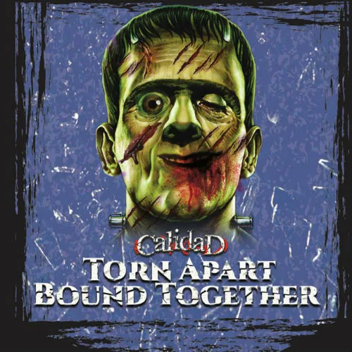 Torn Apart & Bound Together cover