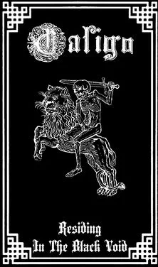 Residing in the Black Void cover