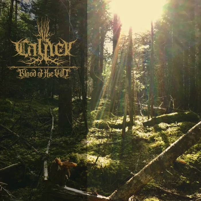 Blood of the Wild cover