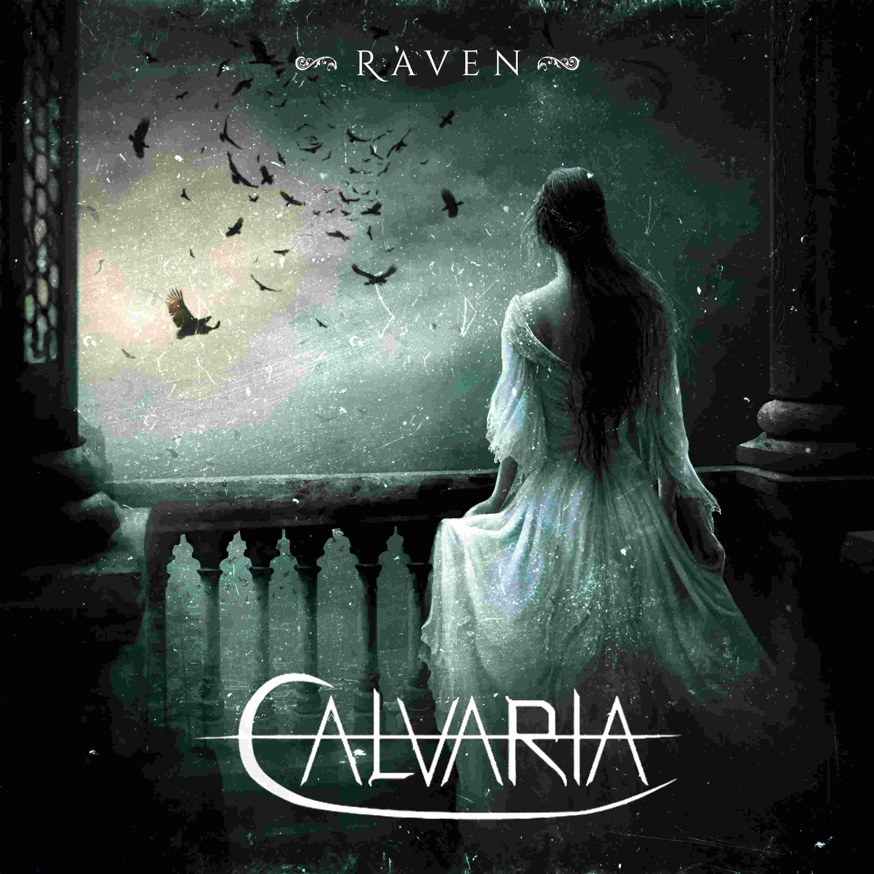 Raven cover