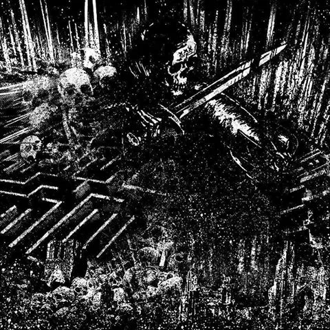 Total Insanity Split cover
