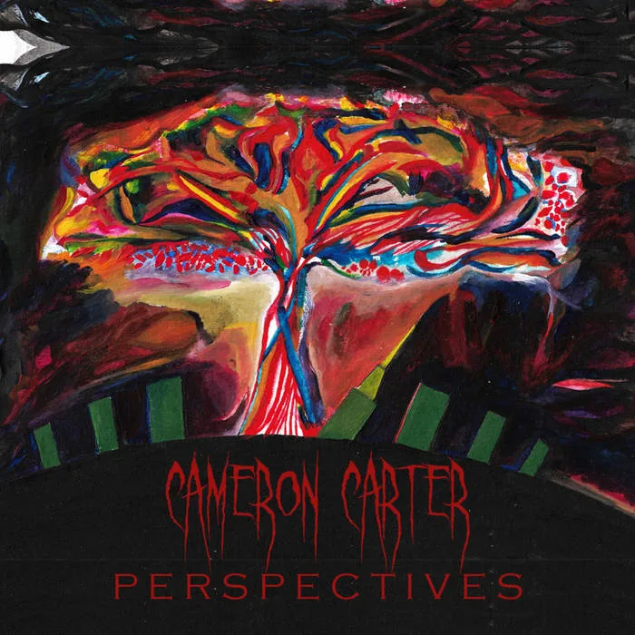 Perspectives cover