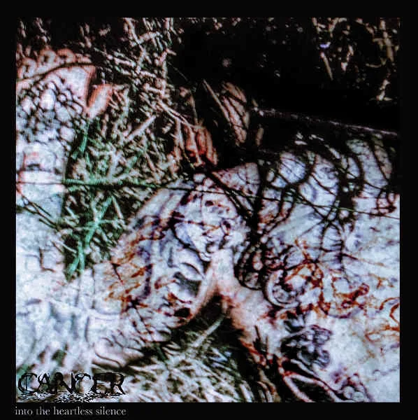 Into the Heartless Silence cover