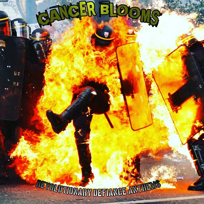 Revolutionary Defiance Anthems cover
