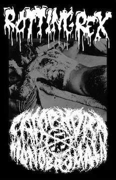 Rottingrex / Camphora Monobromata cover