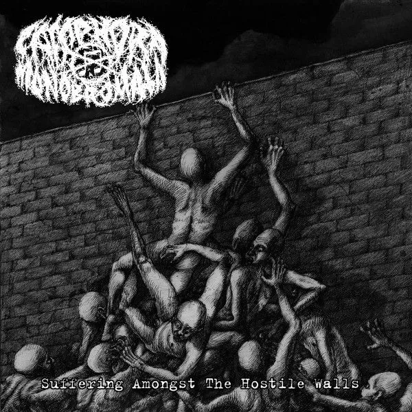 Suffering Amongst the Hostile Walls cover