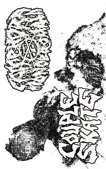 Camphora Monobromata / Couple Skate cover