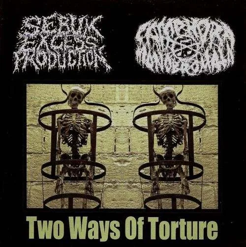 Two Ways of Torture cover