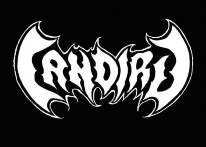Ao Vivo no Rock Tefeense Festival cover