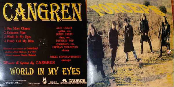World in My Eyes cover