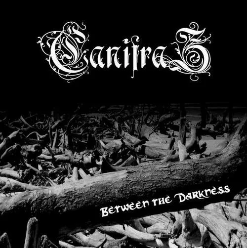 Between the Darkness cover