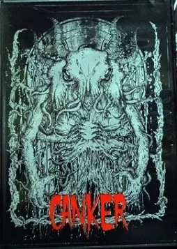 Directo en la Copera cover