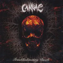 Troubleshooting Death cover