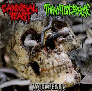 Wormfeast cover