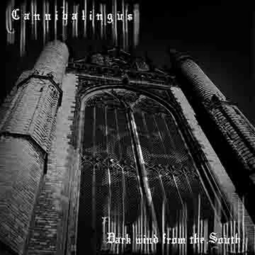 Dark Wind from the South cover