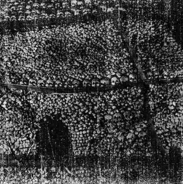 Vermapyre / Cape of Bats cover