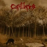 A Genocide of Sins with Victims It Created cover