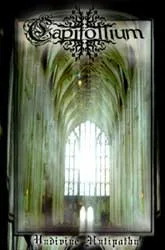 Undivine Antipathy cover