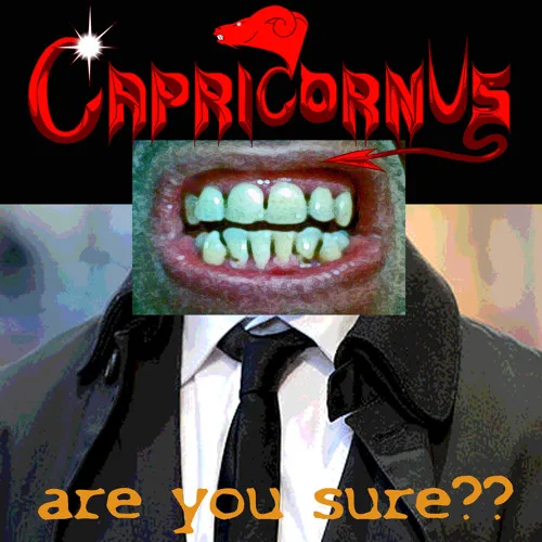 Are You Sure?? cover