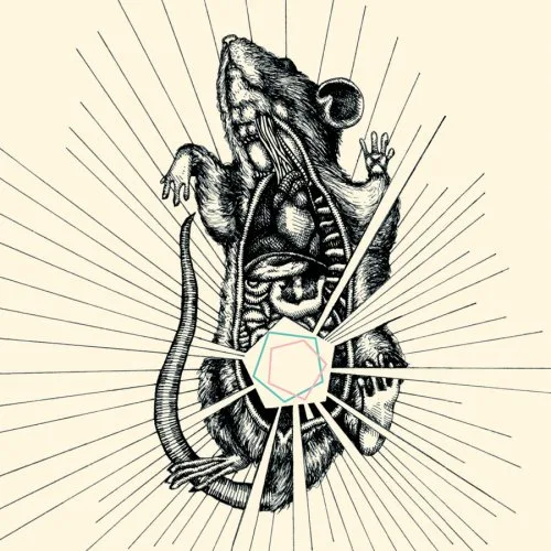 River, Bear Your Bones cover