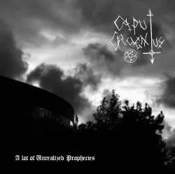 A Lot of Unrealised Prophecies cover