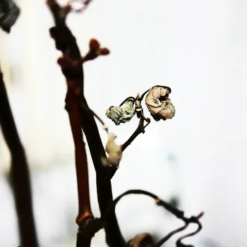 Part I / Part II cover