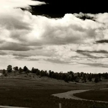 Amaranthine Figures cover