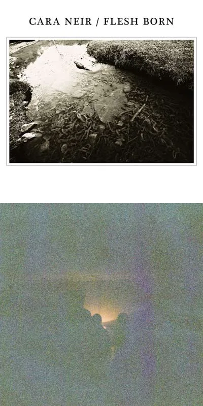 Cara Neir / Flesh Born cover