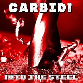 Into the Steel cover