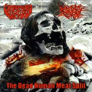 The Dead Human Meat Split cover