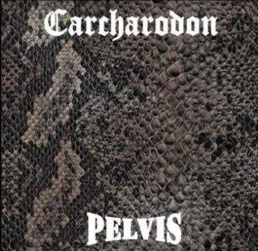 Pelvis cover