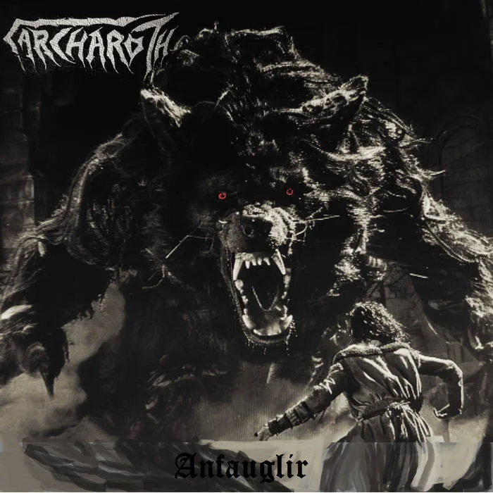 Anfauglir cover