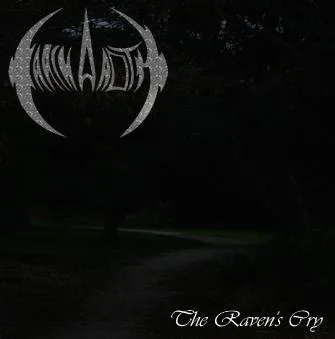 The Raven's Cry cover