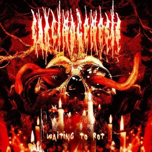 Waiting to Rot cover