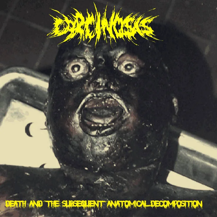 Death and the Subsequent Anatomical Decomposition cover