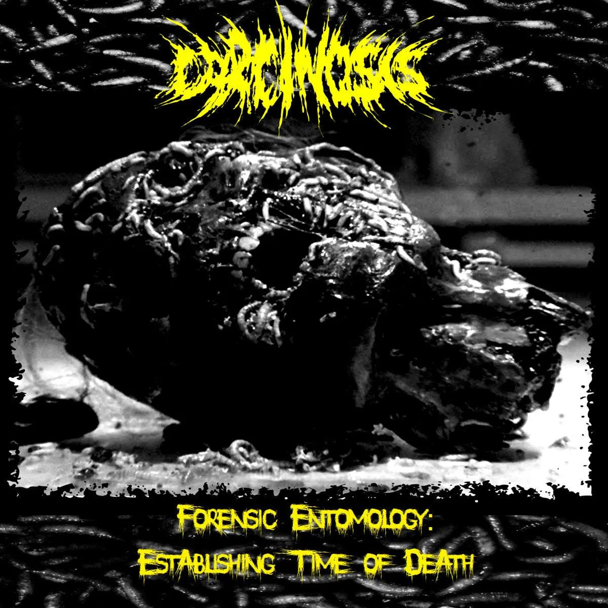 Forensic Entomology: Establishing Time of Death cover