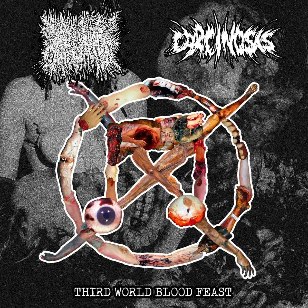 Third World Blood Feast cover