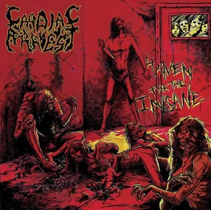 Haven for the Insane cover