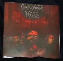 Valley of the Shadows cover