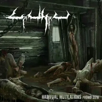 Habitual Mutilations - Promo 2016 cover