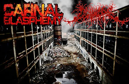 Carnal Blasphemy / DeathGore cover