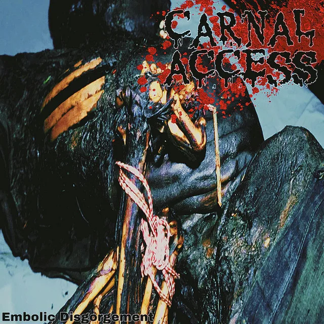 Embolic Disgorgement cover