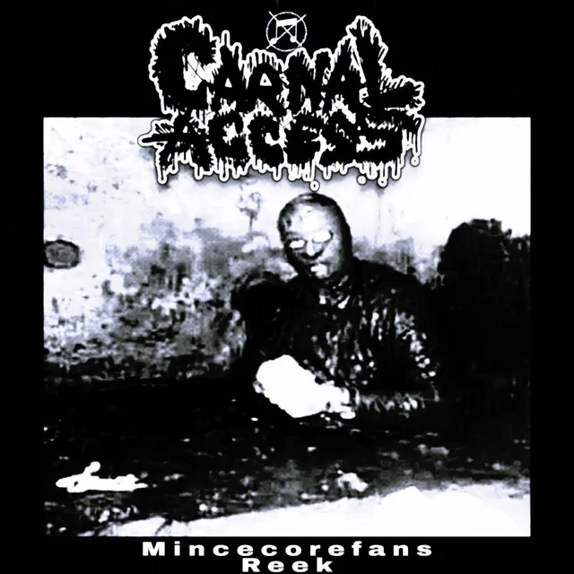 Mincecore Fans Reek cover