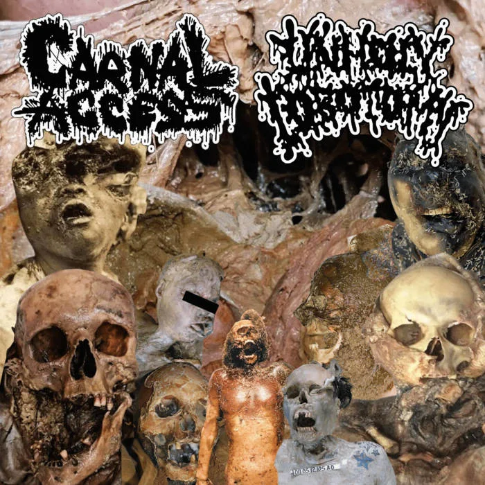 Carnal Access / Unholy Lobotomy cover