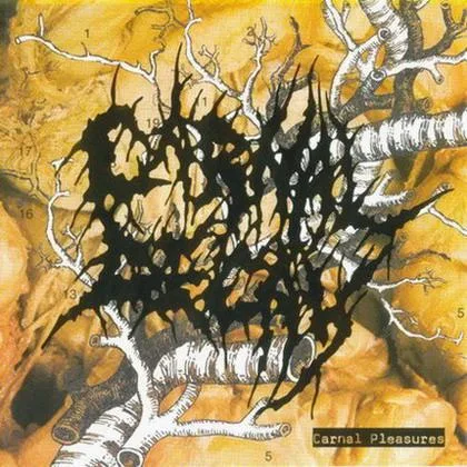 Carnal Pleasures cover