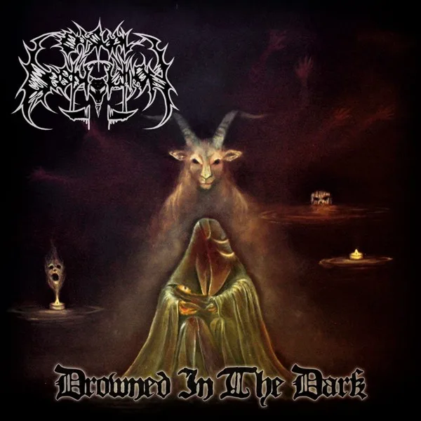 Drowned in the Dark cover
